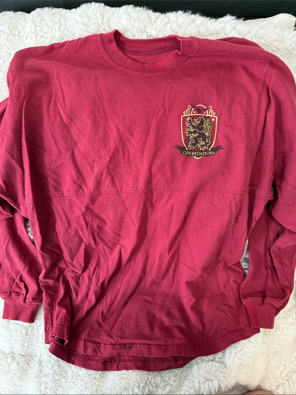 Harry Potter Gryffindor Spirit Jersey